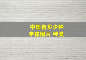 中国有多少种字体图片 种类